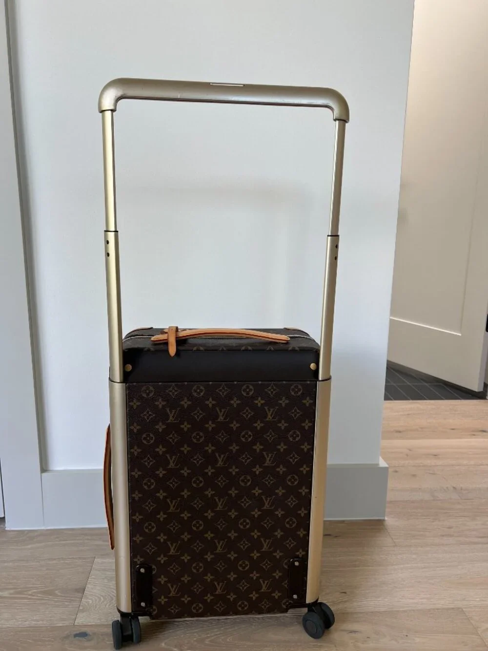 Louis Vuitton Horizon 55